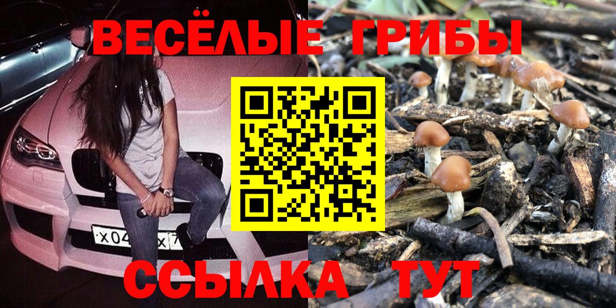 Галлюциногенные грибы Cubensis  Вход с VPN  Тара 