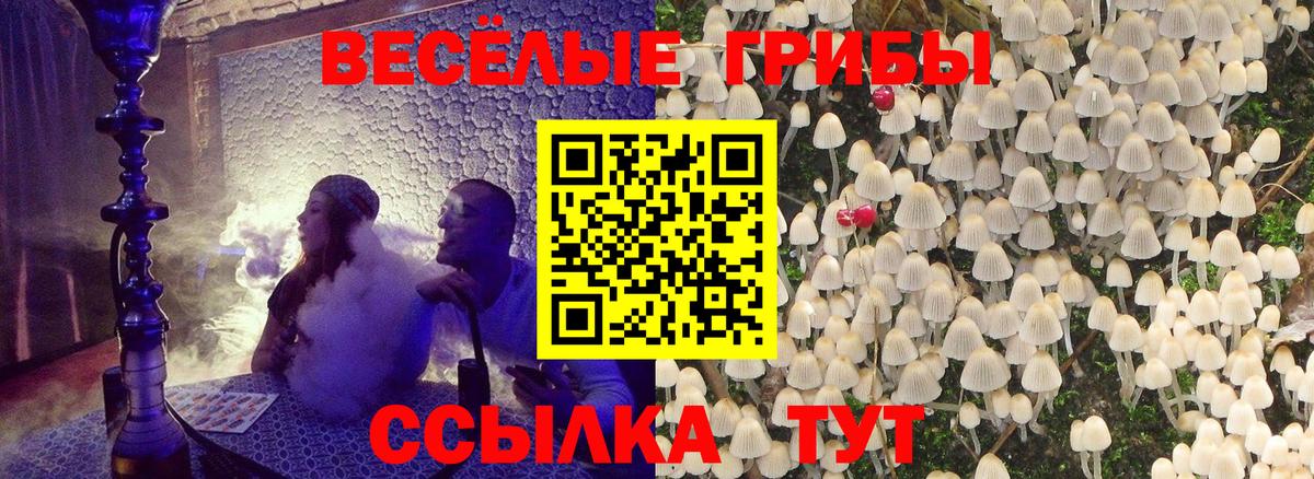 Галлюциногенные грибы мицелий Тара