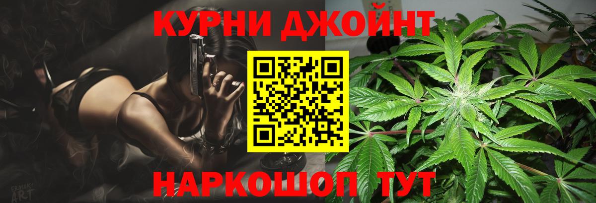 Тара  Каннабис конопля  Каннабис конопля  Вход с VPN 