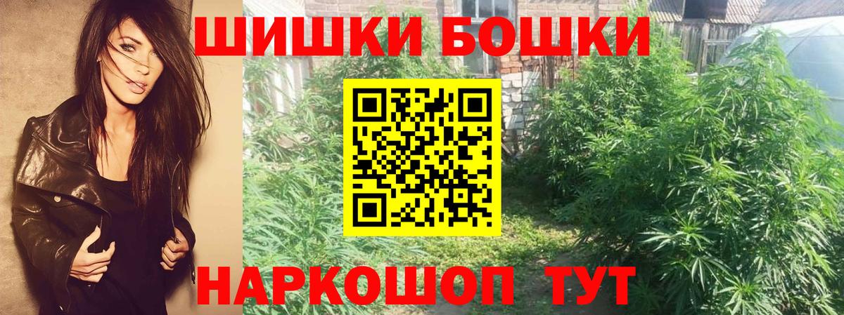 Марихуана сатива Тара